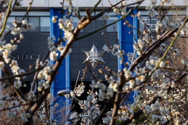 2025 Sookmyung's Spring