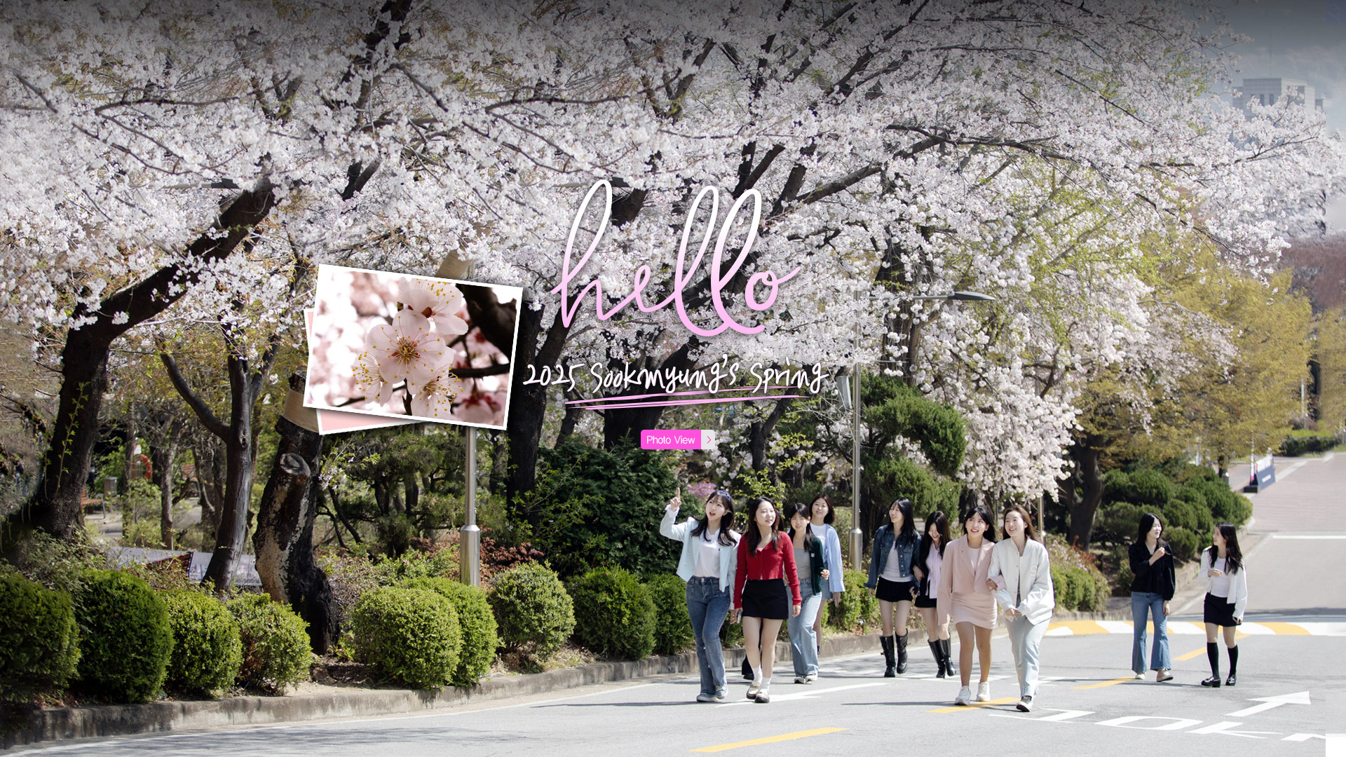 2025 Sookmyung's Spring